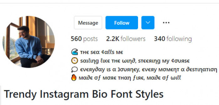 instagram bio text stylish look